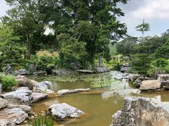 -东莞植物园