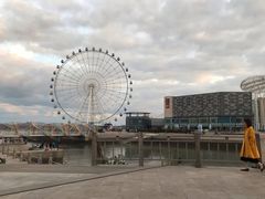 -琴岛之星摩天轮