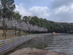 -美兰湖景区