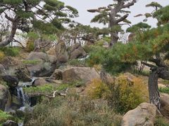 -罗红摄影艺术馆