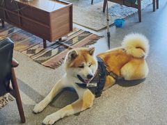 -山下C5cafe(惠通时代广场店)