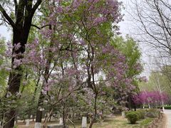 -东升八家郊野公园