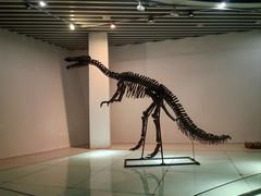 -烟台自然博物馆