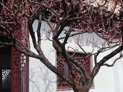 -沧浪亭