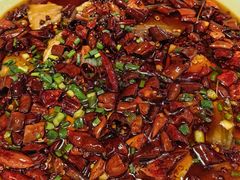 -陈麻婆豆腐总店