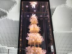 -BLACKSWAN黑天鹅(环球店)