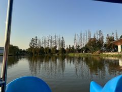 -上海长兴岛郊野公园