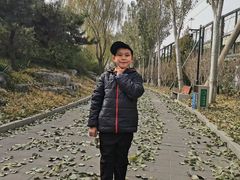 -丰台花园