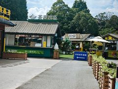-云南民族村