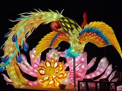 -武汉园博园(武汉自然博物馆)