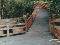 -大屏嶂森林公园