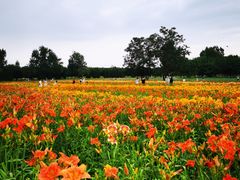 -汉长安城未央宫国家考古遗址公园