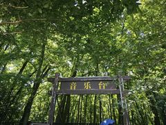 -音乐台