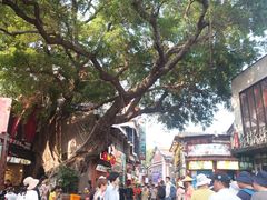 -八婆婆烧仙草(曾厝垵店)