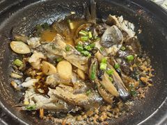 -陈生记黑鱼馆·20年活鱼现杀(宁波鼓楼店)