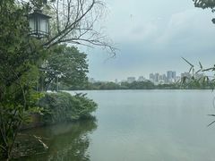 -东湖食堂·湖景餐厅•会议