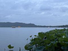 -西湖外事游船(湖滨二公园外事游船码头)