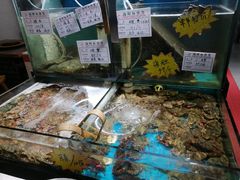 水产区-九层海鲜塔(市南店)