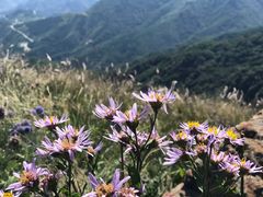 -白草畔自然风景区