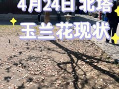 -护国法轮寺