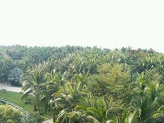 -三亚湾海居铂尔曼度假酒店