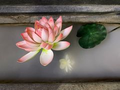 -徽镇小厨·经典徽菜(十里河店)