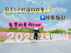 -春花秋色城市公园