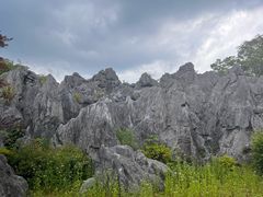 -千岛湖石林