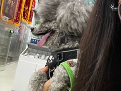-美美宠物诊疗中心·异宠·骨科(滨江东信分院)