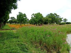 -歌斐颂巧克力小镇