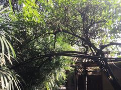 -天赐温泉