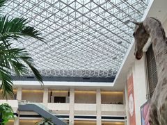 -深圳博物馆历史民俗馆