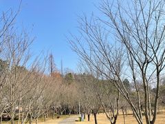 -天花井景区