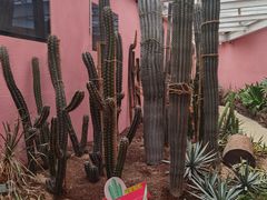-正佳雨林生态植物园