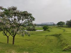 -盘龙城国家考古遗址公园