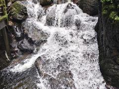 -牛背梁国家森林公园