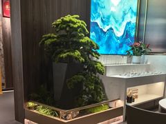 -青蓬蒸汽海鲜·深圳老字号·团建聚会(壹方城店)