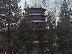 -北京世界公园