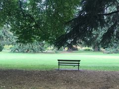 -Pedro's House of Lamb(基督城)