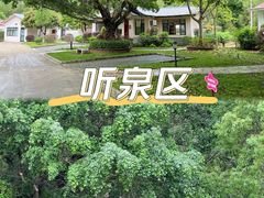 -林丰温泉度假山庄