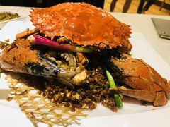 -石头咕(葵蓬店)