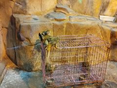 -泉城欧乐堡海洋极地世界