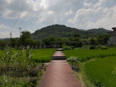 -红山村