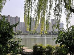 -木塔寺遗址生态公园