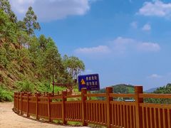 -黄埔油麻山森林公园