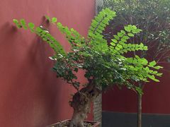 -西安市广仁寺