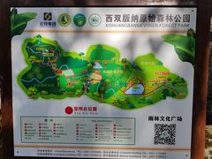 -西双版纳原始森林公园