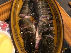 -老凯里苗岭酸汤鱼酸汤牛肉(百里杜鹃路店)