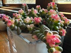 -西湖鱼小海鲜·杭帮菜·农家菜(断桥店)