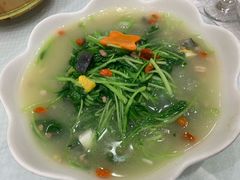 上汤苋菜-双井轩(双井店)